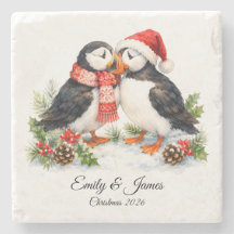 Natal adorável de Puffins em aquarela
