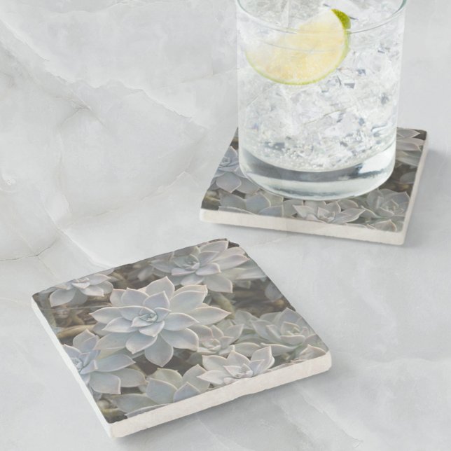 Porta-copo De Pedra Naturalmente Bonitos Suculentos Botânicos (Criador carregado)