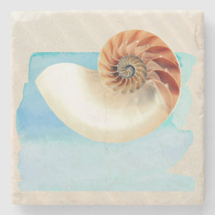 Porta-copo De Pedra Nautilus Seashell e Sand