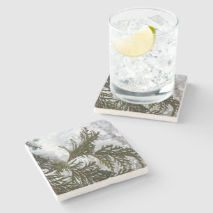 Porta-copo De Pedra Neve nas ramificações verdes