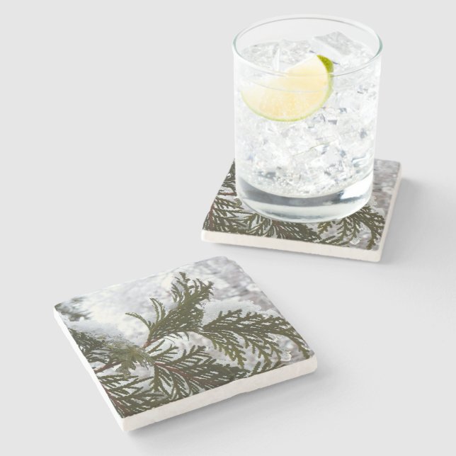 Porta-copo De Pedra Neve nas ramificações verdes (Lateral)