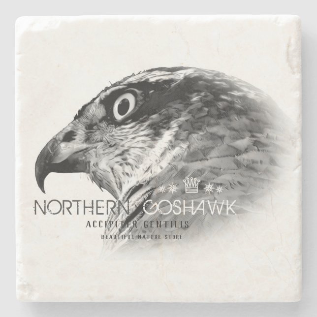 Porta-copo De Pedra Northern Goshawk (Frente)