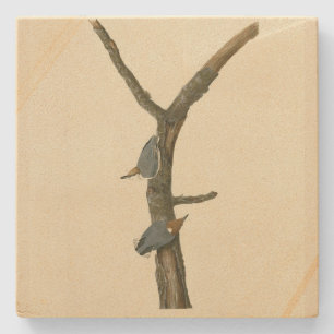 Porta-copo De Pedra Nuthatch de cabeça castanha - Aves da América de A