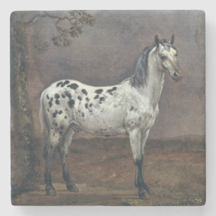 Porta-copo De Pedra O cavalo do animal malhado, 1653
