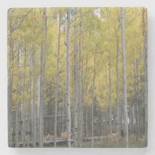 Porta-copo De Pedra O fulgor amarelo de Aspen