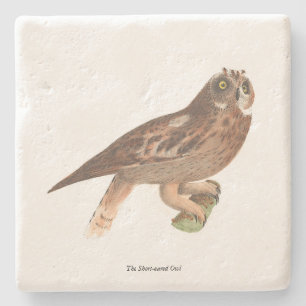 Porta-copo De Pedra O Pássaro de Nova Iorque (Otus palustris)