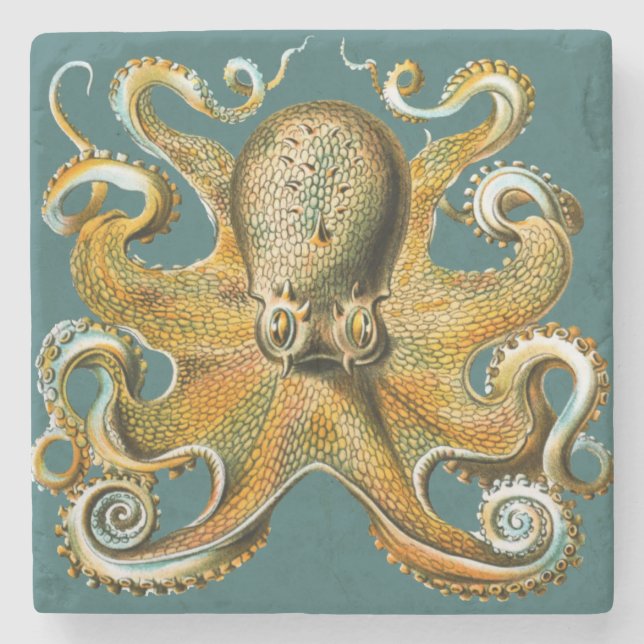 Porta-copo De Pedra O polvo de Ernst Haeckel (Frente)