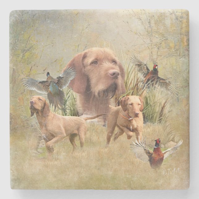 Porta-copo De Pedra O Wirehaired Vizsla húngaro (Frente)