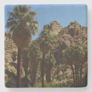 Porta-copo De Pedra Oásis Lost Palms I no Parque Nacional Joshua Tree
