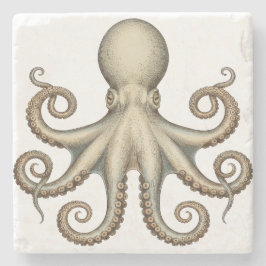 Porta-copo De Pedra Octopus scientific diagram unique artwork retro 
