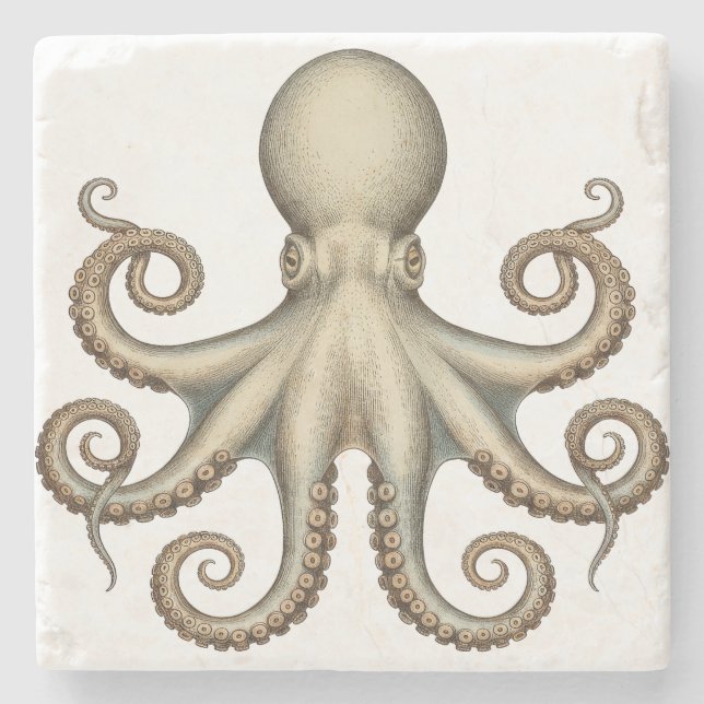 Porta-copo De Pedra Octopus scientific diagram unique artwork retro  (Frente)