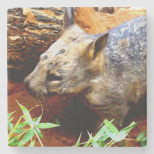 Porta-copo De Pedra Oil Painted Australian Wombat,