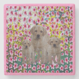 Porta-copo De Pedra Óleo de cachorro Labrador,  