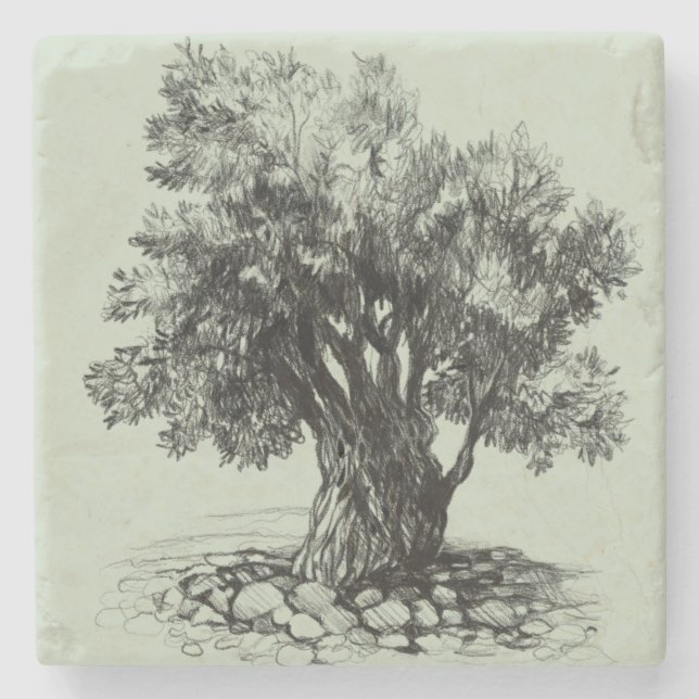 Porta-copo De Pedra Oliveira antiga (Frente)