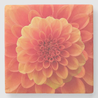 Porta-copo De Pedra Orange Dahlia