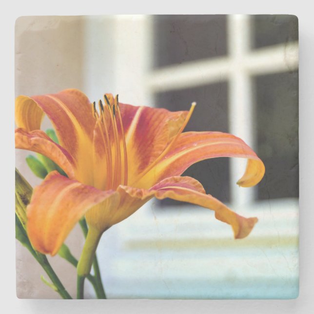 Porta-copo De Pedra Orange Tiger Lily (Frente)