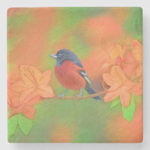Porta-copo De Pedra Orchard Oriole Songbird Pintura Original