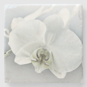 Porta-copo De Pedra Orquídea Phalaenopsis Branca