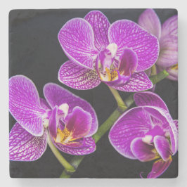 Porta-copo De Pedra Orquídea roxa