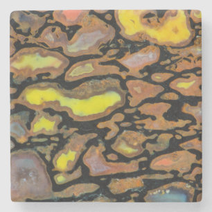 Porta-copo De Pedra Osso de Dinossauro Multicolorido