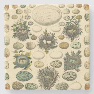 Porta-copo De Pedra Ovos De Pintura De Ninho De Aves Vintage