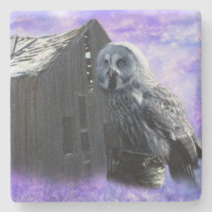 Porta-copo De Pedra Owl Barn Shed