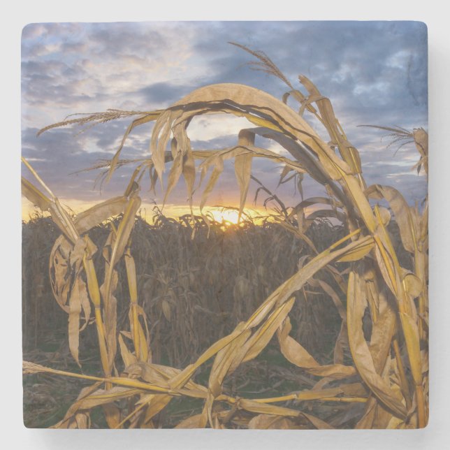 Porta-copo De Pedra Ozarks Harvest (Frente)