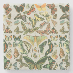 Porta-copo De Pedra Padrão de Impressão de Borboleta Mariposa Vintage