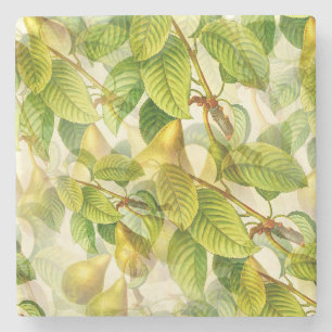 Porta-copo De Pedra Padrão de Ramais e Peras de Árvore 