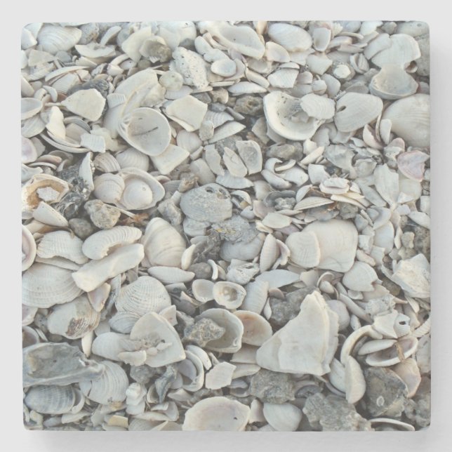 Porta-copo De Pedra Padrão Natural da Concha Costeira (Frente)