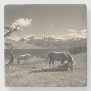 Porta-copo De Pedra Paisagem com cavalos