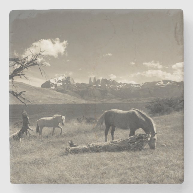 Porta-copo De Pedra Paisagem com cavalos (Frente)