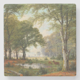 Porta-copo De Pedra Paisagem da Floresta da Noite