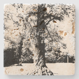 Porta-copo De Pedra Paisagem de Árvore Preta e Branca
