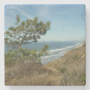 Porta-copo De Pedra Paisagem de Torrey Pine e Costa da Califórnia