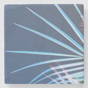 Porta-copo De Pedra Palm Tree deixa um esboço de minimalismo