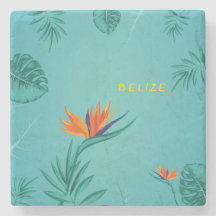 Palma Verde Azul Tropical Palm Monograma Belize