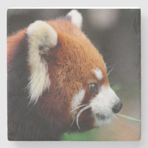 Porta-copo De Pedra Panda vermelha