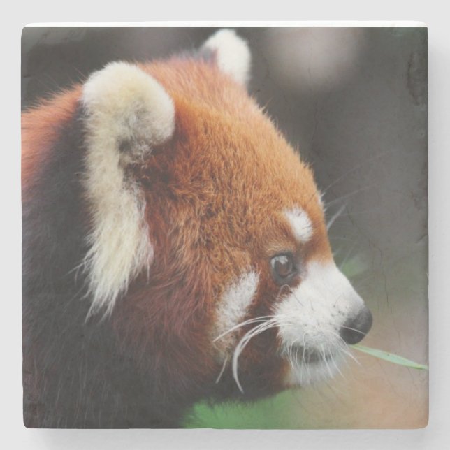 Porta-copo De Pedra Panda vermelha (Frente)