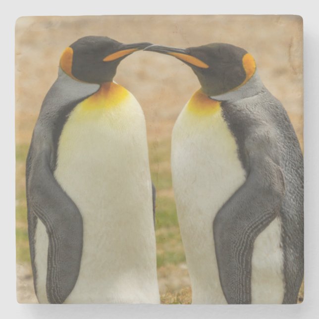 Porta-copo De Pedra Par de pinguins-imperadores, Ilhas Falkland (Frente)
