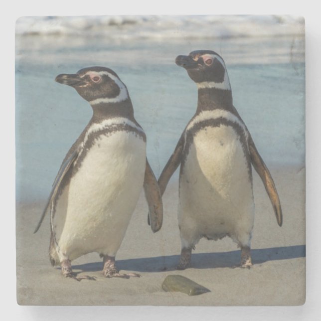 Porta-copo De Pedra Par de pinguins na praia (Frente)
