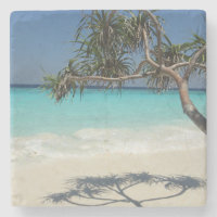 Paraíso Sunny Tropical Beach Ocean