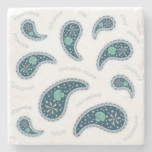 Porta-copo De Pedra Paramecia Paisley Protozoan Biology Science