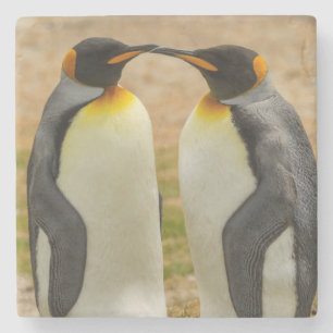 Porta-copo De Pedra Pares de rei pinguins, Malvinas