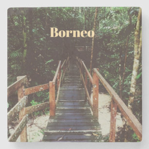 Porta-copo De Pedra Parque Nacional Bako - Bornéu