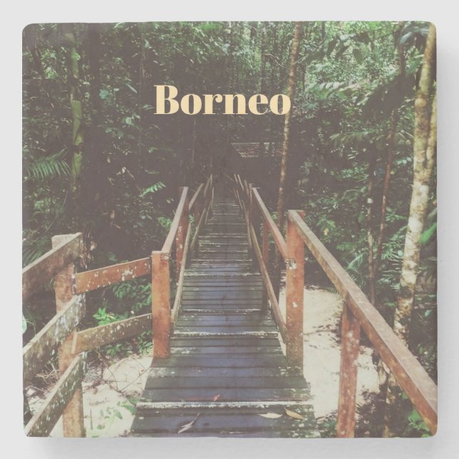 Porta-copo De Pedra Parque Nacional Bako - Bornéu (Frente)