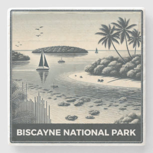 Porta-copo De Pedra Parque Nacional Biscayne
