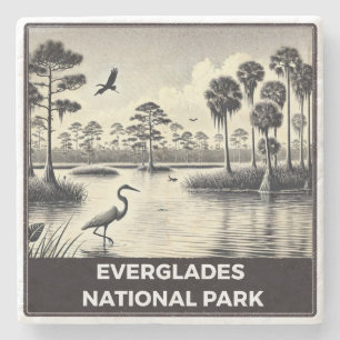 Porta-copo De Pedra Parque Nacional Everglades