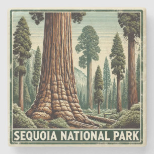 Porta-copo De Pedra Parque Nacional Sequoia