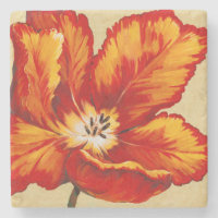 Parrot Tulip I